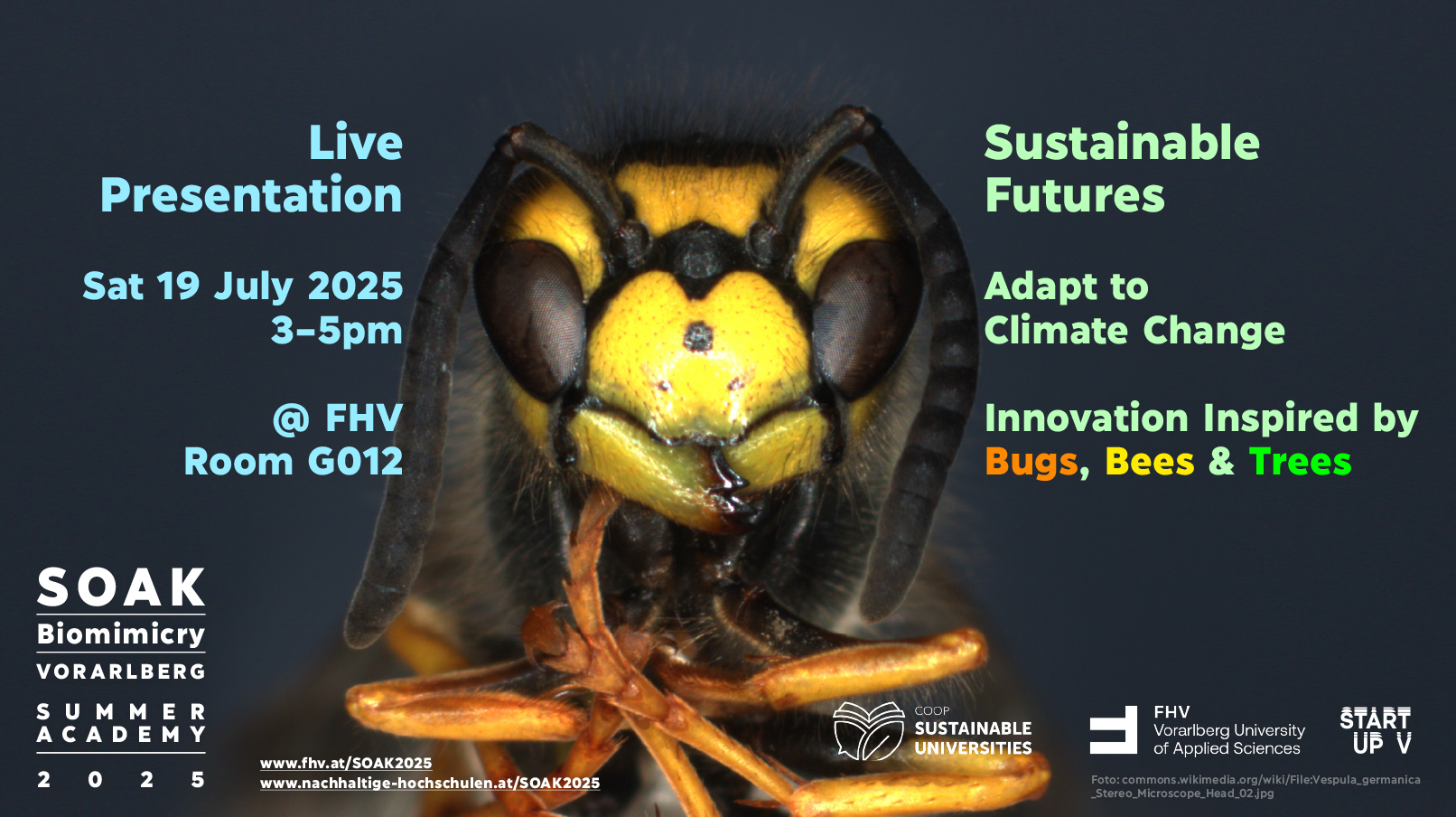 SOAK Biomimicry